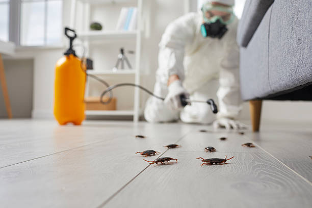 Trusted Rodent Control service in La Conner, WA - Nex Pest Control
