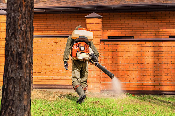Trusted Bed Bug Control service in La Conner, WA - Nex Pest Control